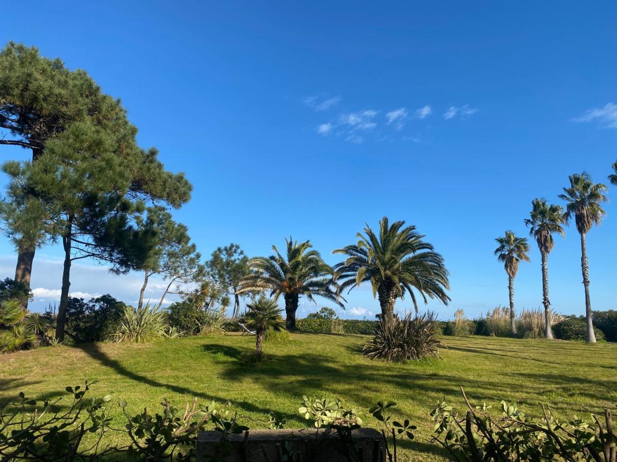 Appart hôtel Résidence Les Chênes Borgo (Corsica)