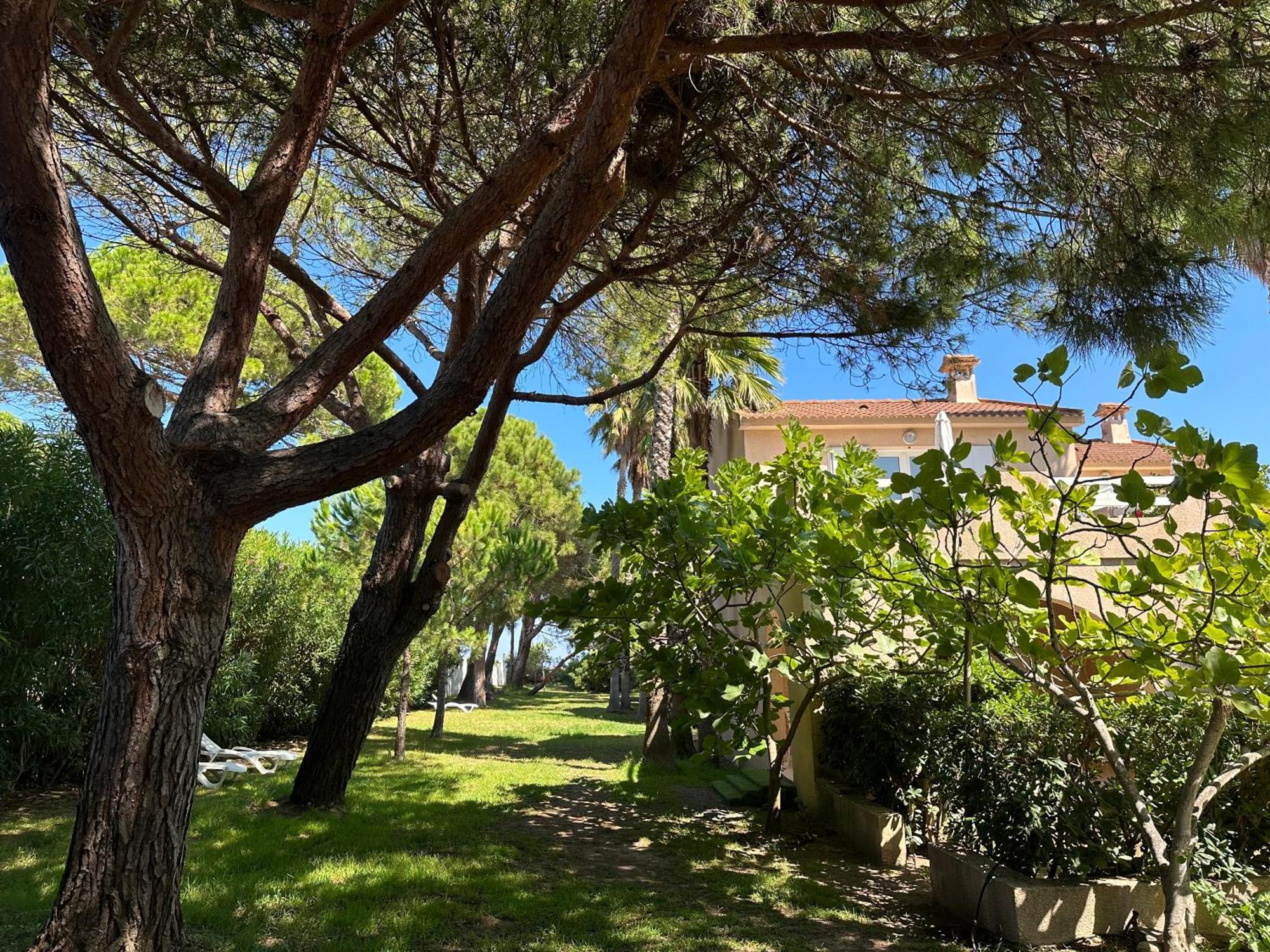 Résidence Les Chênes Appart hôtel Borgo (Corsica)